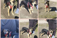 PHOTO-2026-04-25-13-37-54