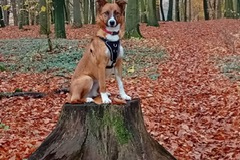 PHOTO-2026-01-04-17-55-33