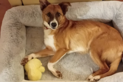 PHOTO-2026-01-04-17-55-35