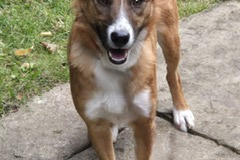 PHOTO-2026-01-04-17-55-41