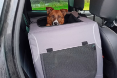 PHOTO-2026-01-04-17-55-42