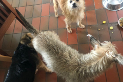 PHOTO-2025-08-23-14-09-06