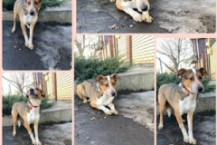 PHOTO-2026-03-15-12-20-28