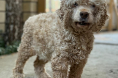 PHOTO-2025-11-08-18-34-22