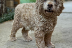 PHOTO-2025-11-08-18-34-23