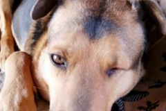 PHOTO-2026-04-28-16-55-52-1