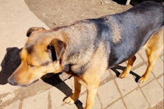 PHOTO-2026-04-28-16-55-52-2