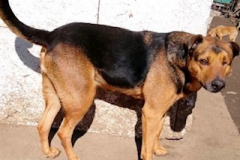 PHOTO-2026-04-28-16-55-52-3