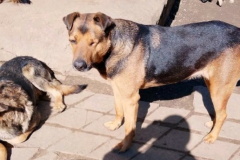 PHOTO-2026-04-28-16-55-52-4