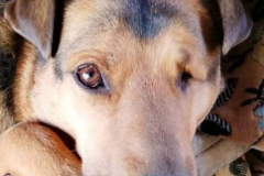 PHOTO-2026-04-28-16-55-52