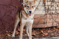 PHOTO-2026-02-24-21-40-26