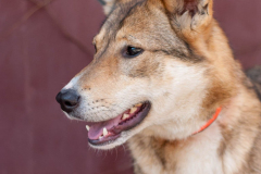 PHOTO-2026-02-24-21-40-27-1