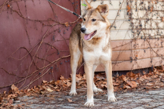 PHOTO-2026-02-24-21-40-27