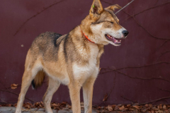 PHOTO-2026-02-24-21-40-28-1