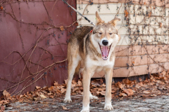 PHOTO-2026-02-24-21-40-28-2