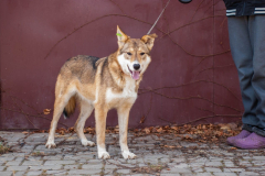 PHOTO-2026-02-24-21-40-28-3