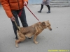 dscn0732
