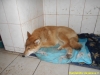 dscn0746