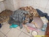dscn0747