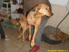 dscn0756