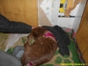 dscn0751
