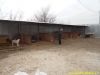 dscn0772