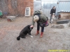 dscn0781