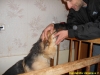 dscn0790