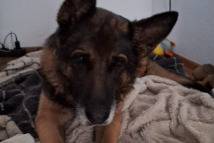 PHOTO-2026-03-15-15-50-38