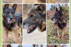 PHOTO-2025-12-09-15-01-06