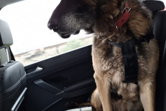 PHOTO-2025-11-21-12-04-16