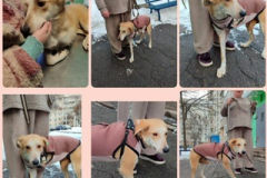 PHOTO-2025-12-27-16-51-14