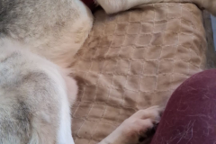 PHOTO-2025-11-30-11-24-11