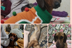 PHOTO-2026-03-25-18-21-52