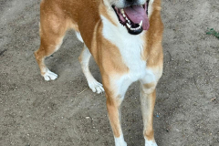 PHOTO-2025-11-08-18-34-57-1