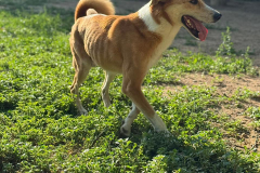 PHOTO-2025-11-08-18-34-57-2