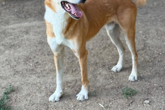 PHOTO-2025-11-08-18-34-57