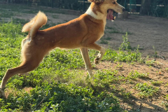 PHOTO-2025-11-08-18-34-58-1