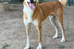 PHOTO-2025-11-08-18-34-58