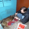 Sascha