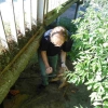 Sashaatwork.4