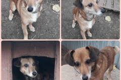 PHOTO-2025-11-11-16-54-01