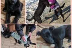 PHOTO-2026-02-24-19-44-25