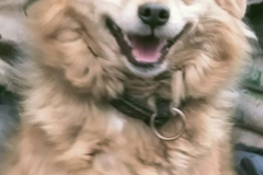 PHOTO-2026-03-28-17-12-11