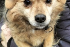 PHOTO-2026-03-28-17-12-45