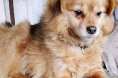 PHOTO-2026-03-28-17-13-05