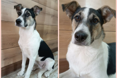 PHOTO-2025-11-18-11-54-11