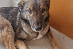 PHOTO-2026-03-17-06-07-09