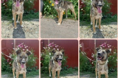 PHOTO-2025-12-27-23-46-19