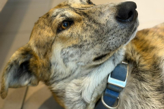 PHOTO-2026-03-30-15-48-28